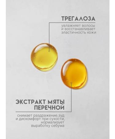 ZARI Men's hair shampoo gel for shower Sasha 30 pcs - Buy Online on GoSupps.com