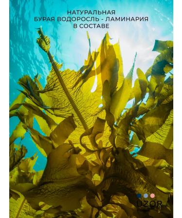 UZOR home Scrub-salt Laminaria 500 grams - Buy Online on GoSupps.com