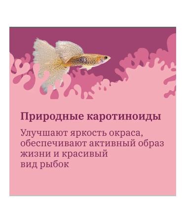 Mr Fisher Clap -shaped food for aquarium fish 15g - Buy Online on GoSupps.com