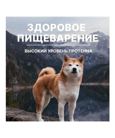 NERO GOLD super premium Feed for dogs and puppies with turkey meat and vegetables 0.5 kg - Buy Online on GoSupps.com