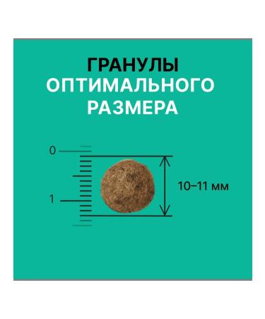 NERO GOLD super premium Feed for dogs and puppies with turkey meat and vegetables 0.5 kg - Buy Online on GoSupps.com