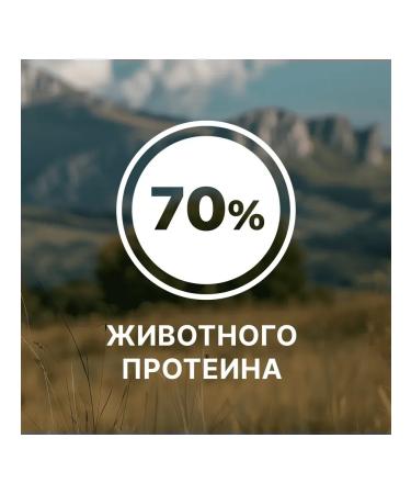 NERO GOLD super premium Feed for dogs and puppies with turkey meat and vegetables 0.5 kg - Buy Online on GoSupps.com