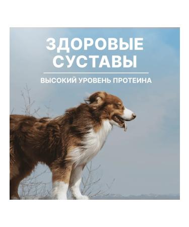 NERO GOLD super premium Feed for dogs and puppies with lamb meat and vegetables 0.5 kg - Buy Online on GoSupps.com