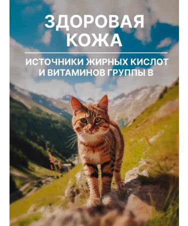 NERO GOLD super premium Cat food with salmon and vegetables 0.4 kg - Buy Online on GoSupps.com