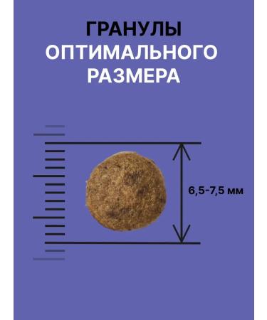 NERO GOLD super premium Feed for cats with lamb meat and vegetables 1.5 kg - Buy Online on GoSupps.com