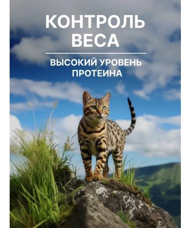 NERO GOLD super premium Feed for cats with turkey meat and vegetables 3kg - Buy Online on GoSupps.com