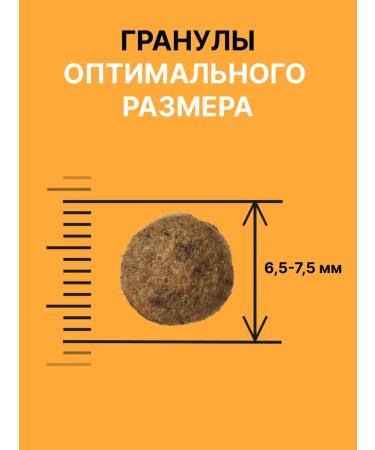 NERO GOLD super premium Feed for cats with chicken meat and vegetables 1.5 kg - Buy Online on GoSupps.com