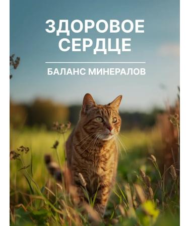 NERO GOLD super premium Feed for cats with chicken meat and vegetables 3 kg - Buy Online on GoSupps.com