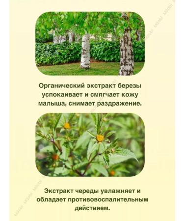 Natura Siberica Baby liquid soap for the body and hands 0+ Singlery 500 ml - Buy Online on GoSupps.com