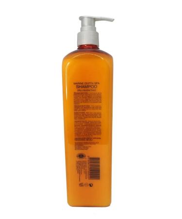 Angel Professional Shampoo for dry hair 500 ml - Buy Online on GoSupps.com