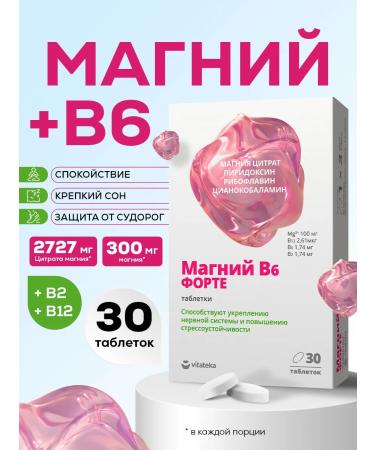 VITATEKA Magnesium B6 Fort for the nervous system 30 pcs