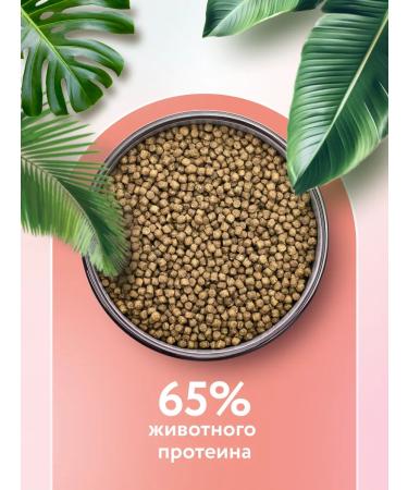 Florida Feed for sterilized cats with salmon and blueberries 3+1 kg - Buy Online on GoSupps.com