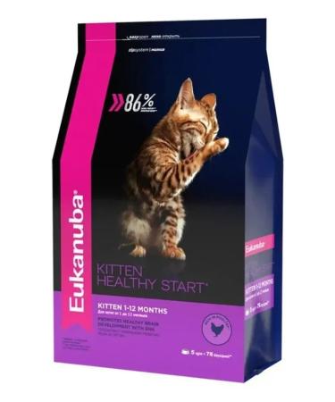 Eukanuba Dry food for kittens from 1 to 12 months 2kg - Buy Online on GoSupps.com