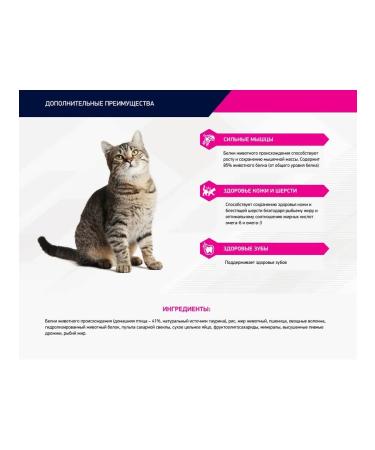 Eukanuba Dry food for adult cats 2kg - Buy Online on GoSupps.com