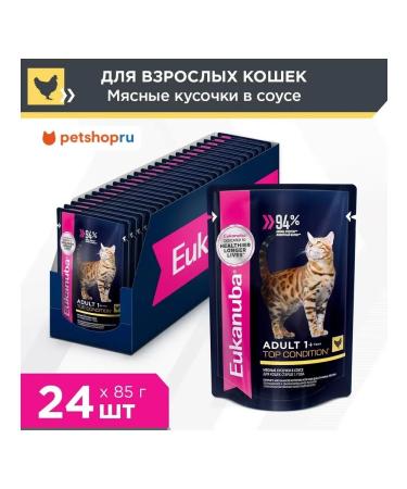Eukanuba Spider for cats with chicken in sauce 24 x 85g