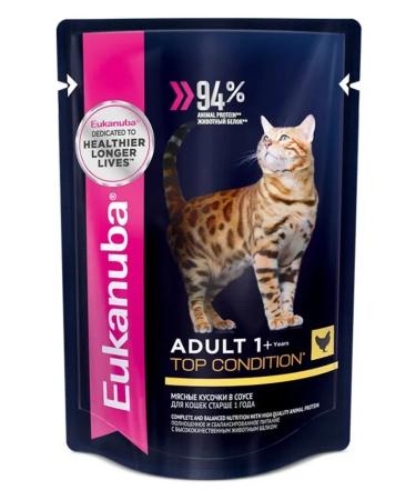 Eukanuba Spider for cats with chicken in sauce 24 x 85g - Buy Online on GoSupps.com