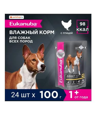 Eukanuba Spider for dogs with chicken in sauce 24 x 85g