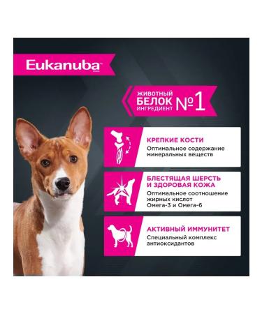 Eukanuba Spider for dogs with chicken in sauce 24 x 85g - Buy Online on GoSupps.com