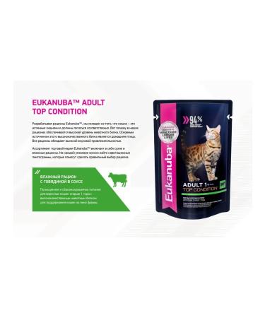 Eukanuba Spider for cats beef in sauce 24 x 85g - Buy Online on GoSupps.com
