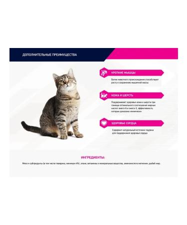 Eukanuba Spider for cats beef in sauce 24 x 85g - Buy Online on GoSupps.com