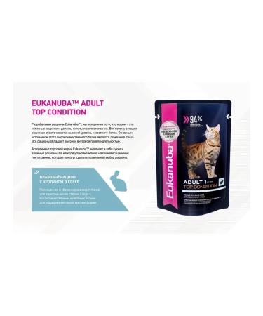 Eukanuba Spider for cats with rabbit in sauce 24 x 85g - Buy Online on GoSupps.com