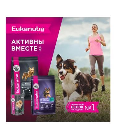 Eukanuba Dry food for miniature dogs 3.5 kg - Buy Online on GoSupps.com