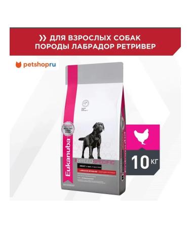 Eukanuba Dry food for Labrador-Retriever 10kg