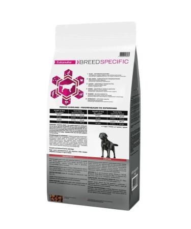 Eukanuba Dry food for Labrador-Retriever 10kg - Buy Online on GoSupps.com