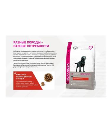 Eukanuba Dry food for Labrador-Retriever 10kg - Buy Online on GoSupps.com