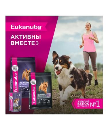 Eukanuba Dry food for puppies with chicken 3kg - Buy Online on GoSupps.com