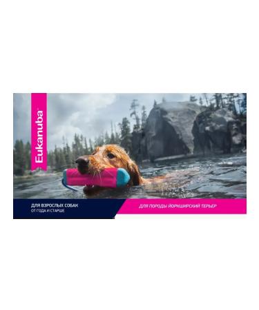 Eukanuba Dry food for the Yorkshire Terrier 1 kg - Buy Online on GoSupps.com