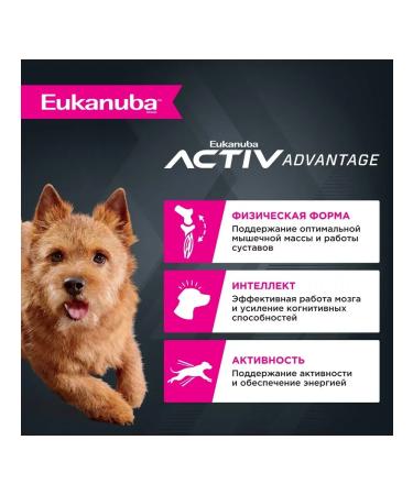 Eukanuba Dry food for dogs with birds 0.8 kg - Buy Online on GoSupps.com