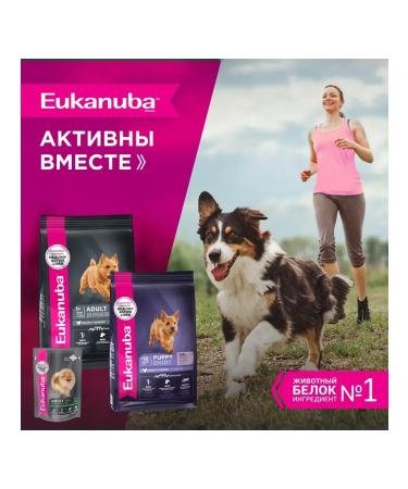 Eukanuba Dry food for dogs with birds 0.8 kg - Buy Online on GoSupps.com