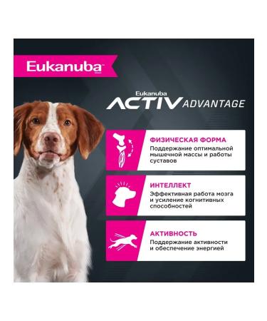 Eukanuba Dry food for adult dogs with a bird 3kg - Buy Online on GoSupps.com