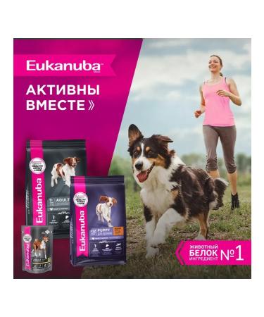 Eukanuba Dry food for adult dogs with a bird 3kg - Buy Online on GoSupps.com