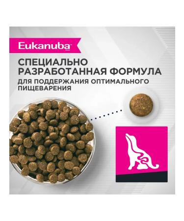 Eukanuba Dry food for puppies with a bird 800g - Buy Online on GoSupps.com