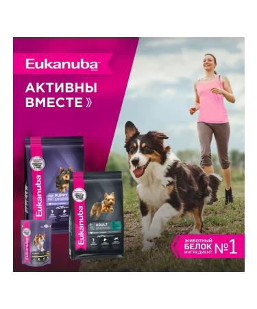 Eukanuba Dry food for puppies with a bird 800g - Buy Online on GoSupps.com