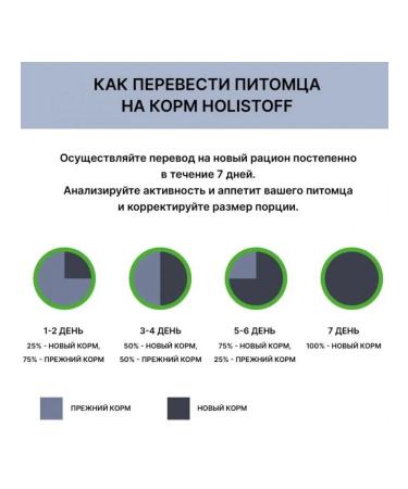 HOLISTOFF Dry food for adult cats with salmon and rice 2.6 kg - Buy Online on GoSupps.com