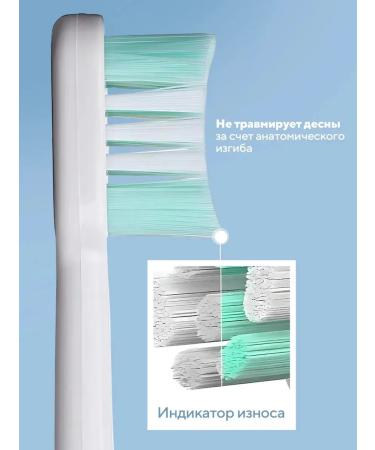 Electric toothache for home and office - Buy Online on GoSupps.com