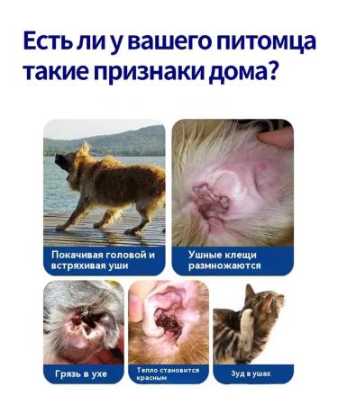 Ear drops for cats and dogs from ticks 60ml - Buy Online on GoSupps.com