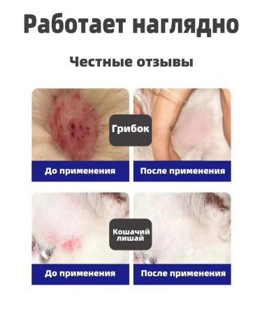 Spray from itching dogs and cats and peeling 100 ml - Buy Online on GoSupps.com