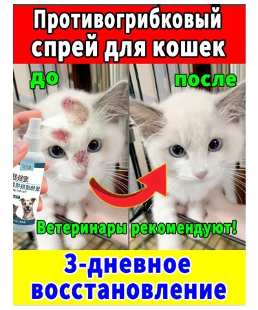 Spray from fungus for dogs and cats 100 ml