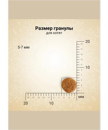 CRAFTIA Dry feed Harmona for kittens made of chicken and fish 320 g - Buy Online on GoSupps.com