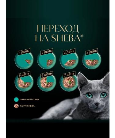 Sheba Wet food for cats (in jelly) veal 75g x 56pcs - Buy Online on GoSupps.com