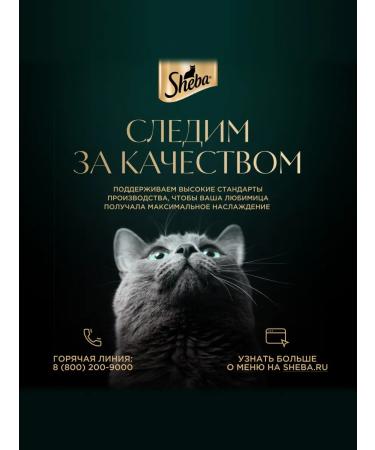 Sheba Wet food for cats (in jelly) veal 75g x 56pcs - Buy Online on GoSupps.com