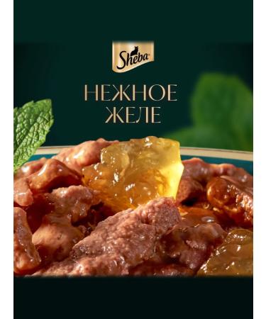 Sheba Wet food for cats (in jelly) veal 75g x 56pcs - Buy Online on GoSupps.com