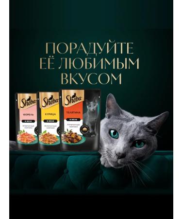Sheba Wet food for cats (in jelly) veal 75g x 56pcs - Buy Online on GoSupps.com