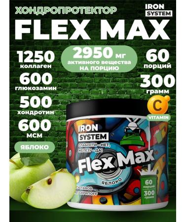 IRON SYSTEM Collagen joint powder chondroitin glucosamine msm