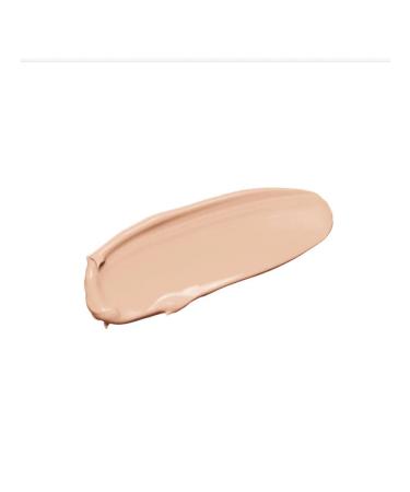 DIEGO DALLA PALMA MILANO Waterproof tonal cream Stay on Me 262n - Buy Online on GoSupps.com