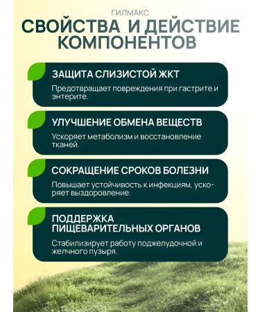 Silver Hiller Gorge tablets complex No. 3 with chaga D-2 faction - Buy Online on GoSupps.com